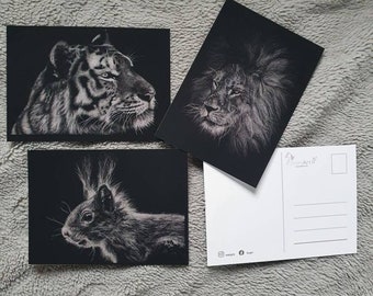 Postkarten schwarze Edition soft und matt. Eichhörnchen postkarte. Löwe Postkarte. Tiger Postkarte