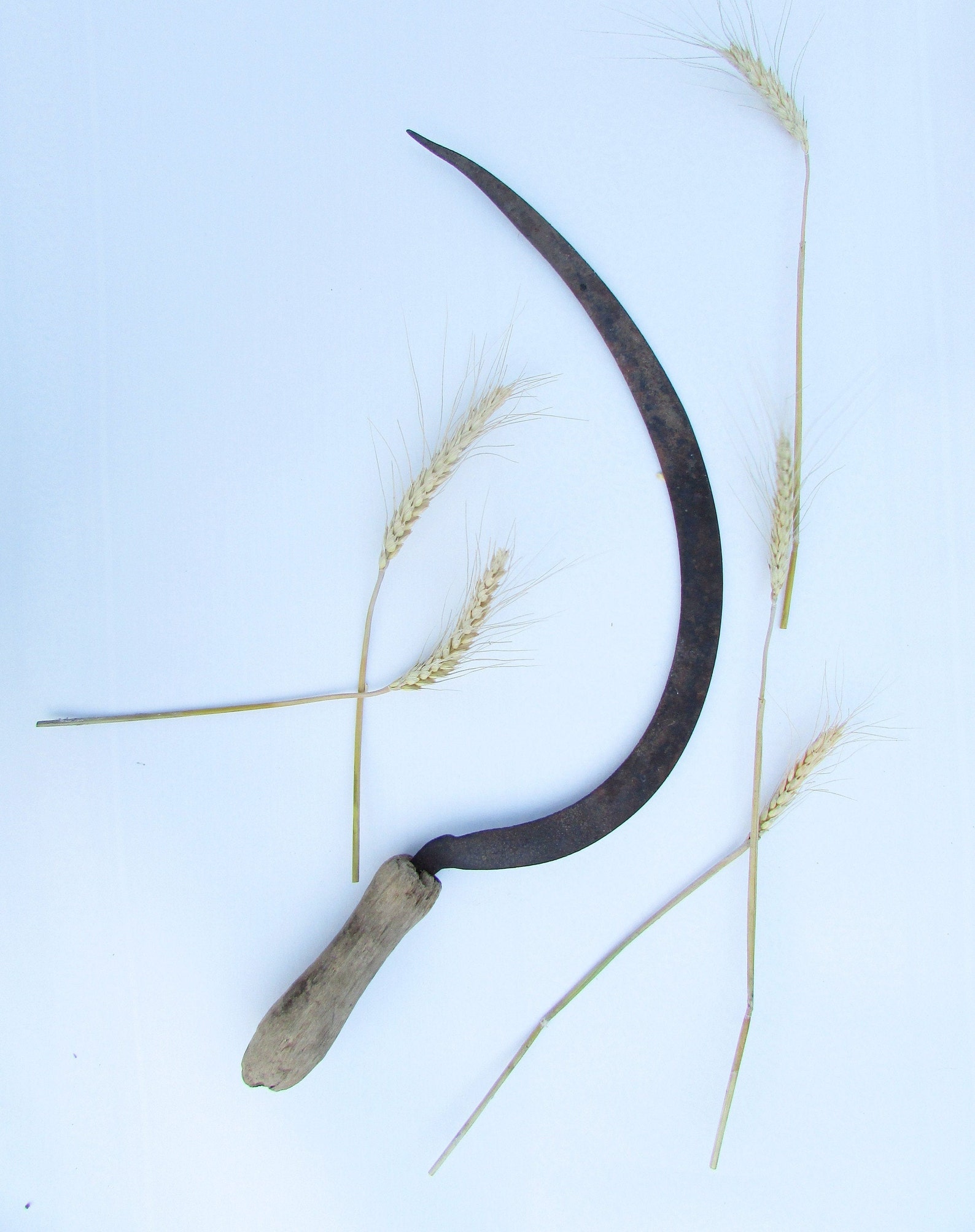 Vintage hand sickle Hand sickle Old sickle Antique harvest Etsy