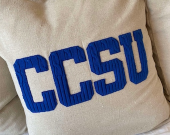 Custom Appliqued Throw Pillow Cover, Dorm Decor, Graduation Gift, Neutral Decor, Create Your Own, Personalized Gift, School Pride