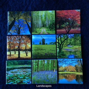Bloc-notes - 9 cartes (4 x 4 pouces), faune, paysage, paysages, fleurs, jardins, arbres, côte, bord de mer, plage, coquillages, neige, gel