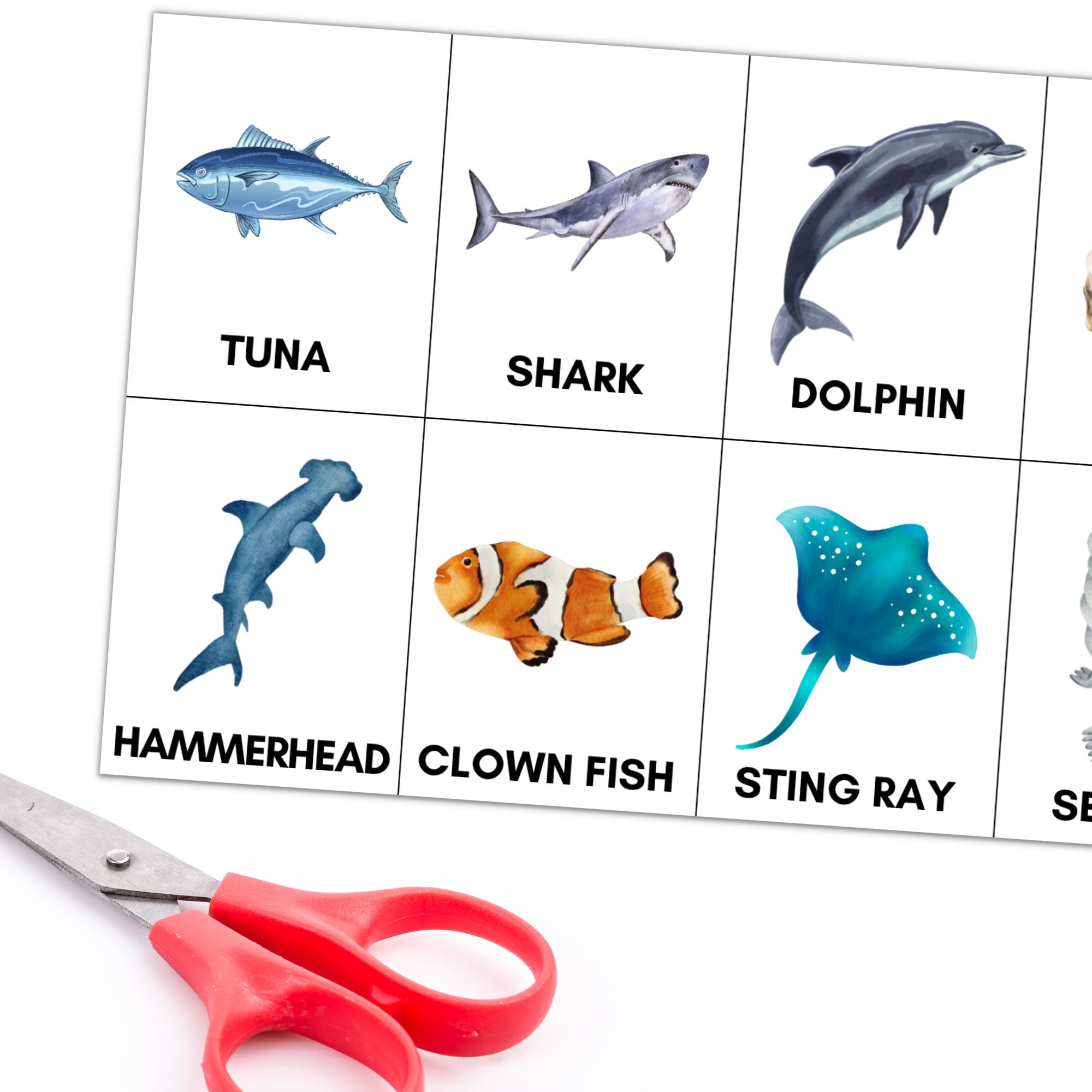 Printable Sea Animals Vocabulary Flashcards PDF, 32 Oceanography