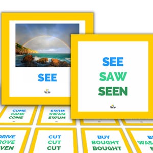 Irregular Verb Flashcards: ESL Learning, Photo Flashcards (Digital Download) image 6