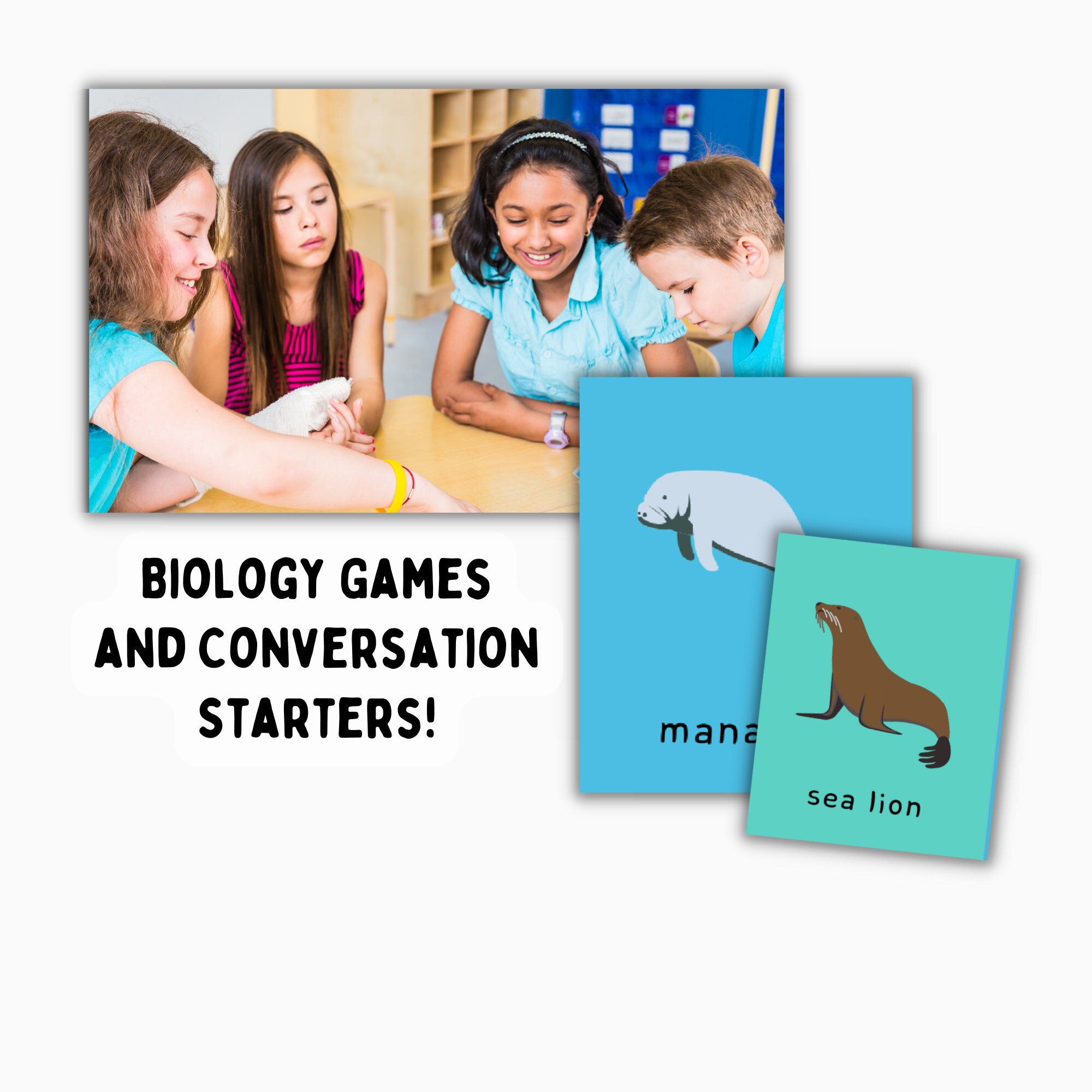 Printable Sea Animals Vocabulary Flashcards PDF, 32 Oceanography