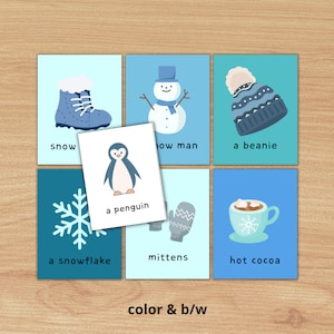Winter Flashcards Schede di vocabolario per giochi, memoria, sciarade e conversazioni, download digitale Risorsa per l'insegnamento dell'inglese ESL/SPED