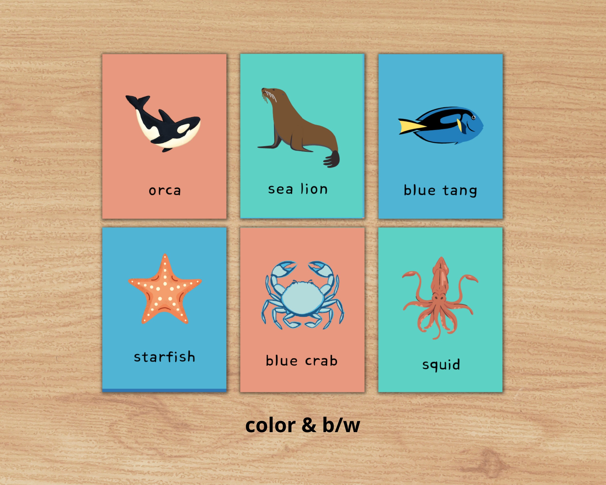 Printable Sea Animals Vocabulary Flashcards PDF, 32 Oceanography