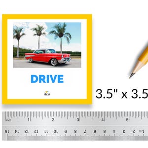 Irregular Verb Flashcards: ESL Learning, Photo Flashcards (Digital Download) image 7