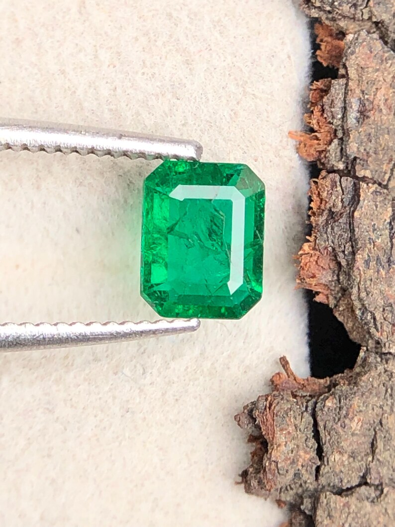Op de afbeelding: Een heldergroene, rechthoekige smaragd, vastgehouden door een pincet. De smaragd heeft een facetgeslepen slijpsel, dat de helderheid en schittering laat zien. De achtergrond toont een stuk getextureerde, bruine schors.