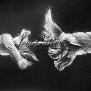 Migration Tension Identity Drawing Art, Unravelling Rope Isolated Drawing Black Background, Frayed Rope Original Charcoal Drawing Wall Art