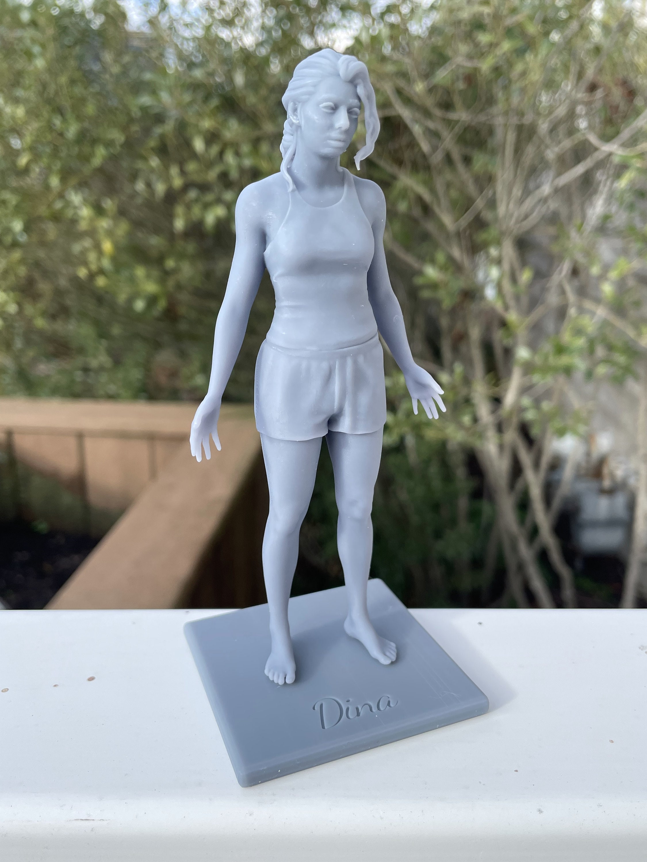 Farm Ellie & Dina the Last of Us 2 3D Resin Printed Statues 