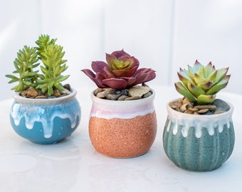 Set of 3 Faux Succulent Plants with Glaze Ceramic Pot, Artificial Succulent  - Desk Decor, Mini Faux Fake Potted Home Office Decor