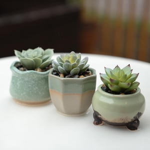 Set of 3 Faux Succulent Plants in Glazed Ceramic Pots – Green-Themed Desk and Home Office Decor, Mini Faux Potted Plants