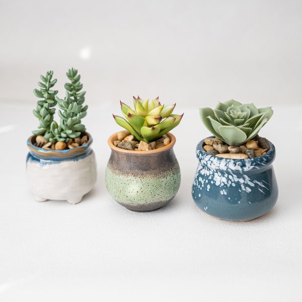Glaze Ceramic Pot with Set of 3 Faux Succulent Plants - Artificial Desk Decor, Mini Fake Potted Plants for Home and Office Decoration