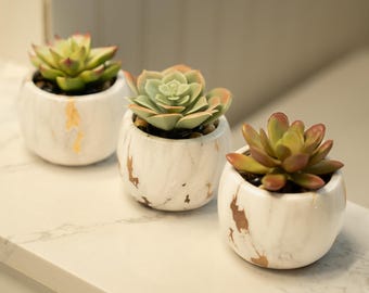 Set of 3 Mini Faux Succulent Plants in Marble Design Pots, Artificial Succulent - Desk Decor, Mini Faux Fake Potted Home Office Decor