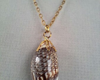 Sea Shell Pendants on Chains