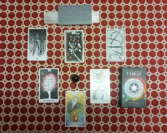 O desconhecido selvagem e a sabedoria mística, leitura intuitiva