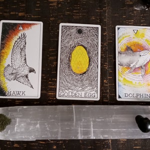 The Wild Unknown & mystical wisdom, intuitive reading