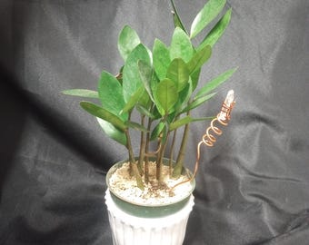 Copper Electroculture with Quartz for Plants