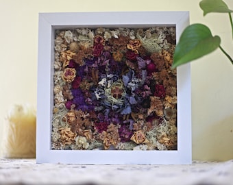 Dried Flower Art in Shadow Box 8x8