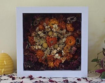 Dried Flower Art in Shadow Box 8x8