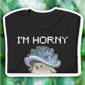 ICH BIN HORNY! Lustiges MapleStory Scherzshirt - Nostalgie MMORPG Gaming - MapleRoyals - Retro Pixel Ästhetik - Reboot Kanna Shadower Meso Farming