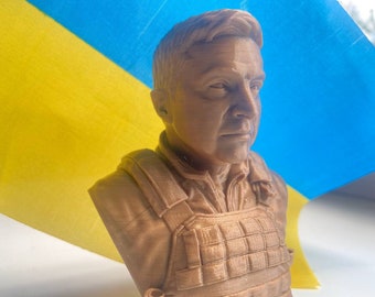 Ukrainian President Volodymyr Zelensky Bust 3d Printed PLA Bronze