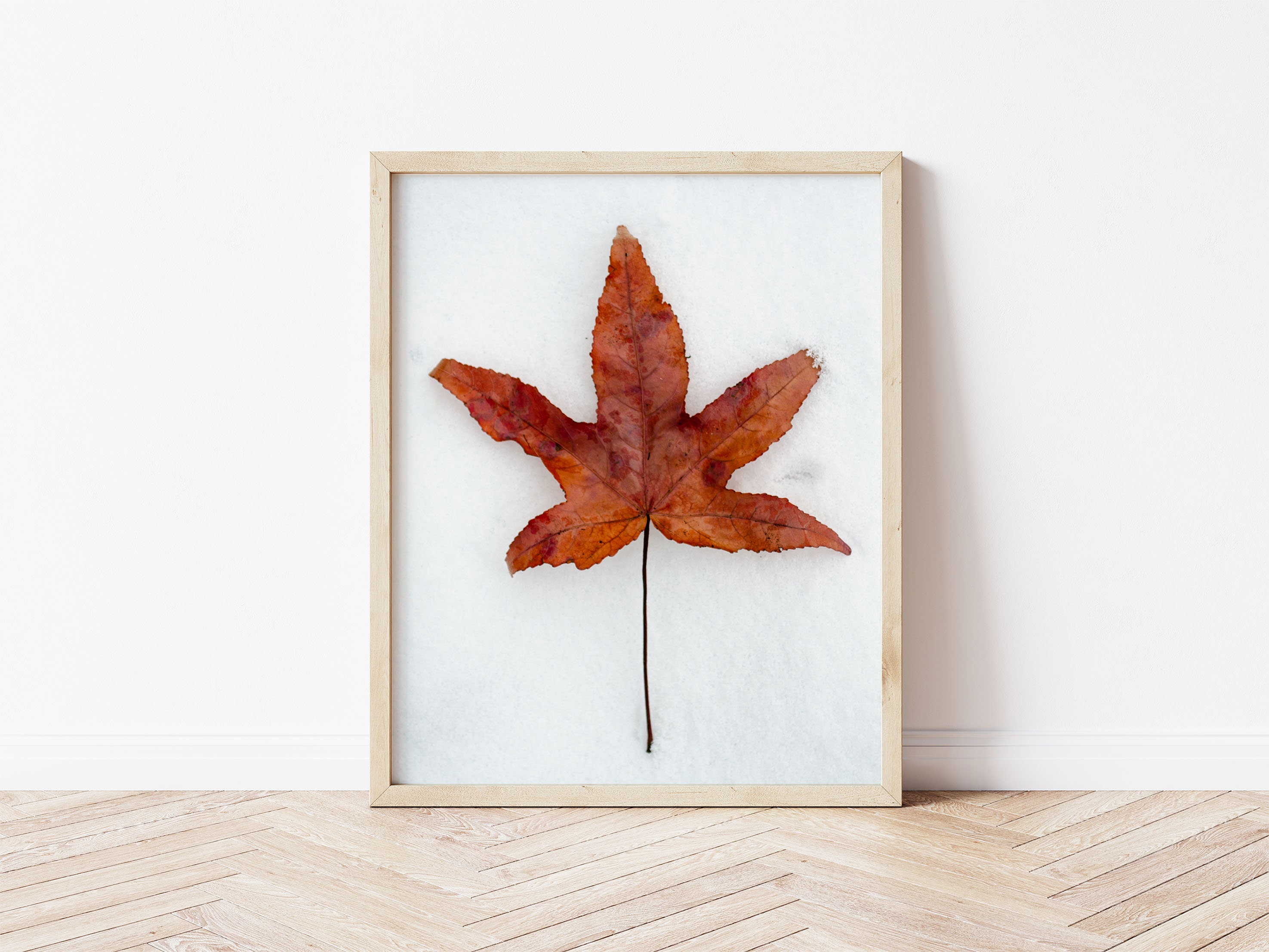 Botanical Wall Art of a Leaf Wall Decor Art Print Etsy