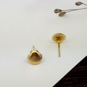 Shell stud earrings gold (1 pair) (925 sterling silver)