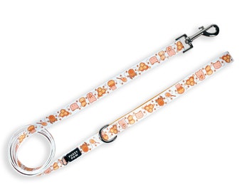 Cute Honey Bear Dog Leash - 5 ft. Kawaii Honey Bee Dog Lead - Bear Leash