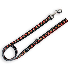 Simpatico Kawaii Chilli Pepper & Hot Sauce Dog Leash - Fire Flames 5 ft.