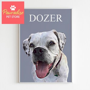 May include: A framed portrait of a dog named Dozer. The dog is white with black spots and has a pink tongue hanging out. The background is a solid gray color. The Pawradise Pet Store logo is in the upper left corner.