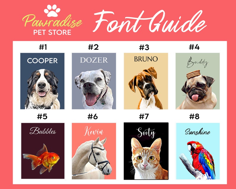 May include: A pet store font guide featuring portraits of various animals. The guide includes images of a dog named Cooper, a dog named Dozer, a dog named Bruno, a dog named Buddy, a goldfish named Bubbles, a horse named Kevin, a cat named Sooty, and a parrot named Sunshine.