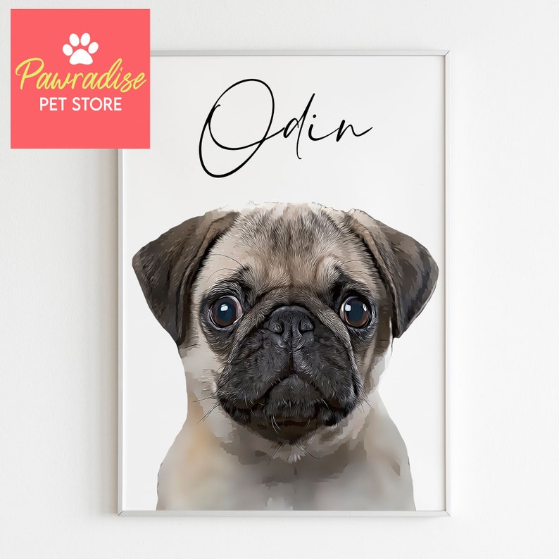 May include: A framed portrait of a pug dog named Odin. The dog has a tan and black coat with large, expressive eyes. The name "Odin" is written in cursive above the dog's head. The Pawradise Pet Store logo is in the upper left corner.