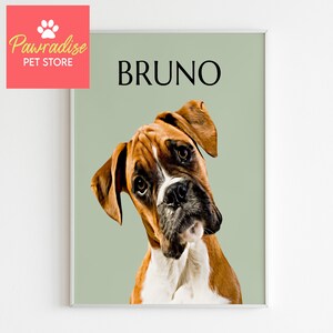 May include: A framed portrait of a Boxer dog named Bruno, with a brown and white coat, tilting its head. The background is a muted green. The top right corner has the name "BRUNO" in black text. The top left corner has the "Pawradise PET STORE" logo.