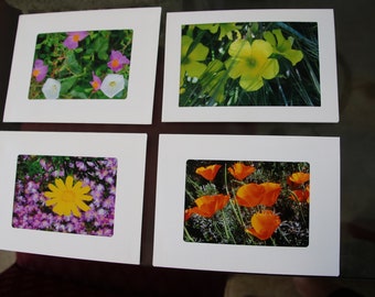 Wildflower photo cards- Hand made, photographed by MilkeywayGifts