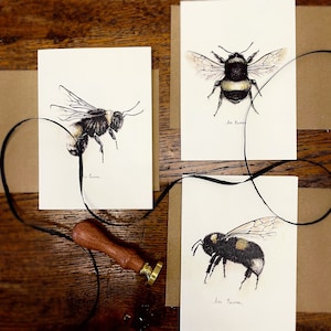Bee Card Pack of 12 - Fine Art Greeting Cards Multipack - Tinta botánica Ilustraciones - A6 - Cualquier ocasión - Interior en blanco - Sobres reciclados