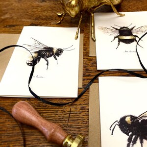 Bee Card Pack of 12 Fine Art Greeting Cards Multipack Botanical ink Illustrations A6 Any Occasion Blank Inside Recycled Envelopes image 7