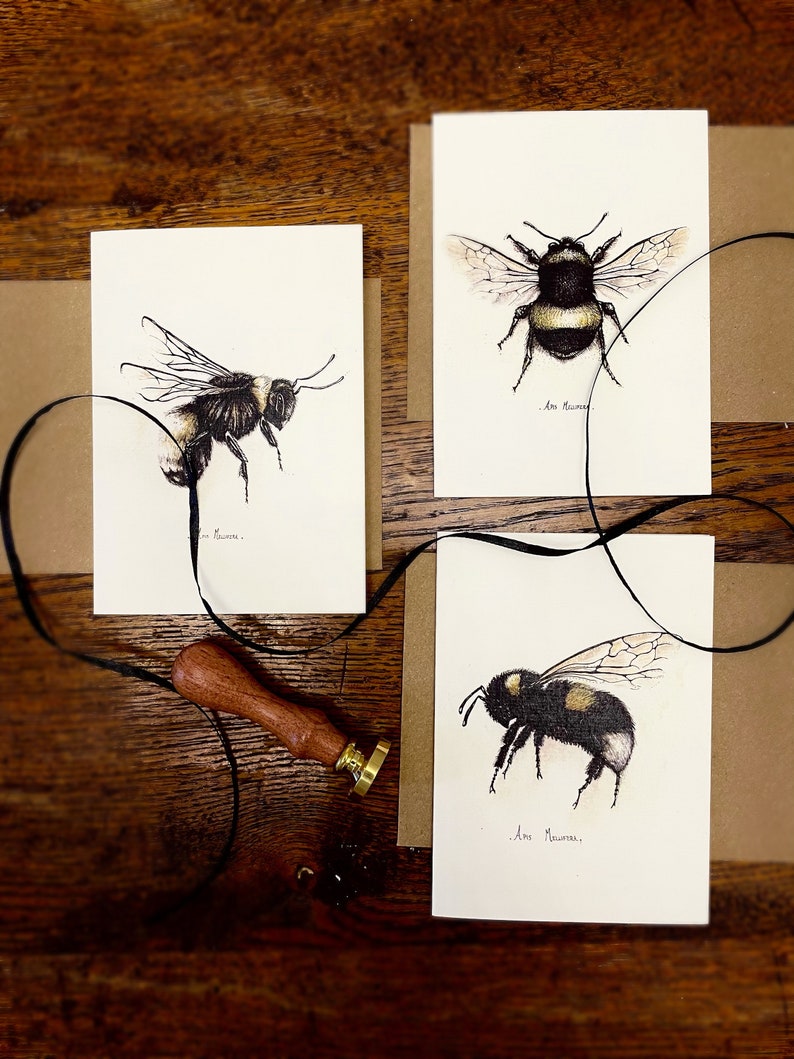 Bee Card Pack of 12 Fine Art Greeting Cards Multipack Botanical ink Illustrations A6 Any Occasion Blank Inside Recycled Envelopes image 1