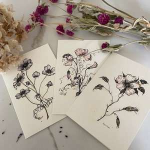 Flowers- Floral -Pack of 12 - Fine Art Greeting Cards Multipack - Botanical Illustrations - A6 - Blank Inside- Recycled Envelopes