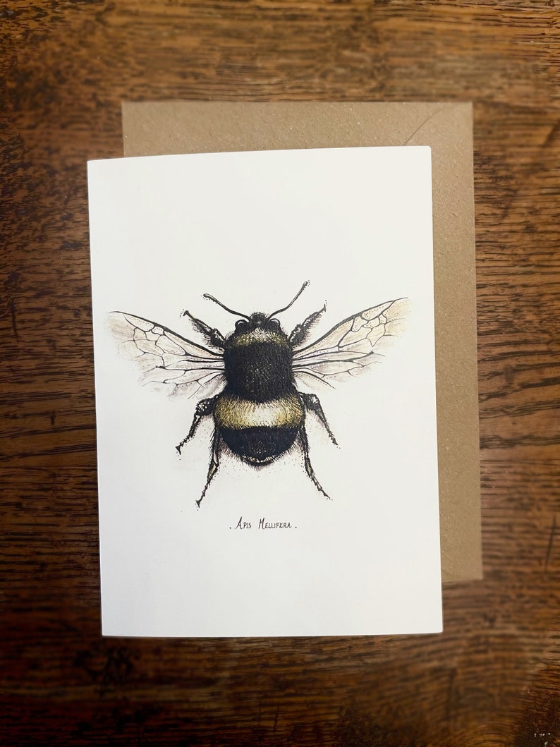 Bee Card Pack of 12 Fine Art Greeting Cards Multipack Botanical ink Illustrations A6 Any Occasion Blank Inside Recycled Envelopes image 4