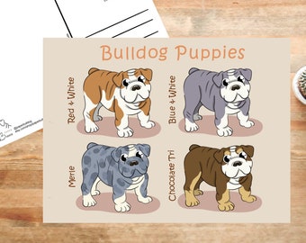 postcard collectors and postcrossing best for animal lovers Pack of 30 different postcards of british wildlife POSTCARDS OF BRITISH ANIMALS postcard collectors and postcrossing best for animal lovers Pack of 30 different postcards of british wildlife POSTCARDS OF BRITISH ANIMALS