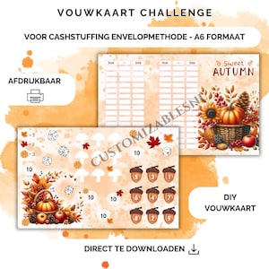 Sfida con le carte pieghevoli, risparmio con le carte pieghevoli, sfida con il risparmio con le carte pieghevoli per il riempimento di contanti, raccoglitore di budget A6, download digitale, budget, gioco