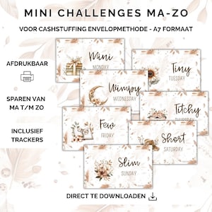 Mini dag challenges - Spaar elke dag - Dagelijkse dobbel challenge - pdf - cash stuffing challenge - spaaruitdaging - budget binder a7
