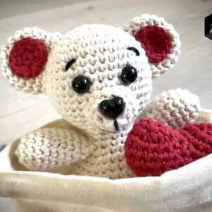 DIY kit Make your own heart-bear premium crochet starter kit image 7