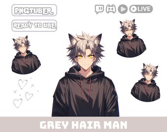 PNGTuber Avatar Anime Male | VTuber PNG Model for Twitch & YouTube | Beginner Streamer Character | Veadotube OBS Ready | Instant Download
