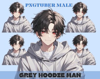 PNGTuber mannelijk model, zwart haar grijze hoodie anime man, kawaii png tuber avatar voor Twitch en YouTube-streaming, schattig OBS overlay-personage