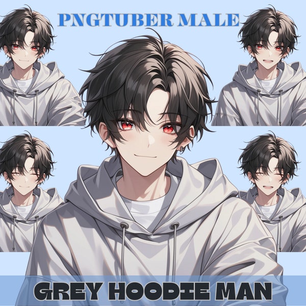 PNGTuber Male Model, Black Hair Grey Hoodie Anime Man, Kawaii Png Tuber Avatar for Twitch and YouTube Streaming, Cute OBS Overlay Character