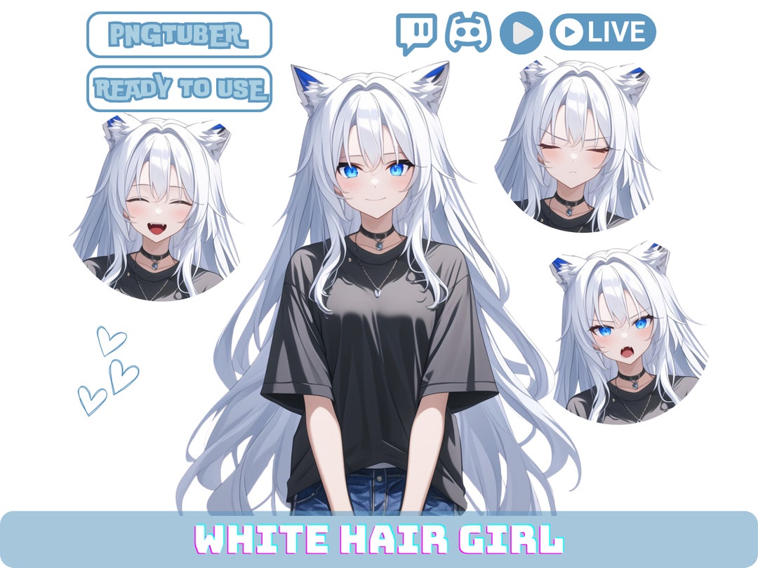Anime Girl Pngtuber Model: Silver Hair Vtuber Asset (digital Download ...