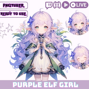 PNGTuber Girl, Purple Hair Elf Girl, PNG Tuber Streaming Avatar, Cute OBS Overlay Character, Kawaii Png Tuber for Twitch and YouTube