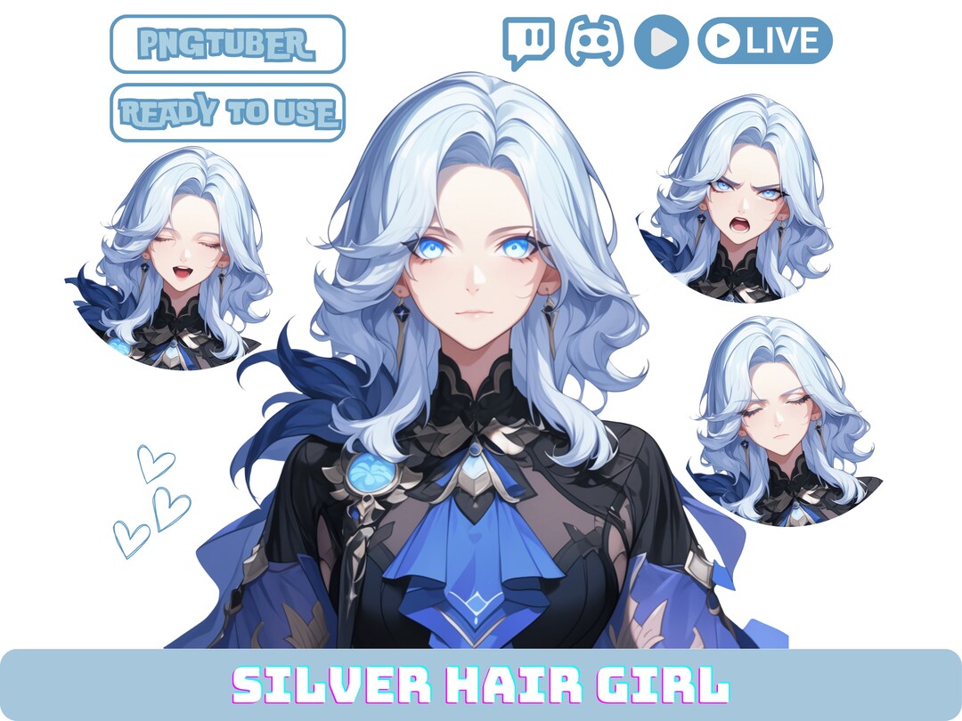 Anime Girl Pngtuber Model: Silver Hair Vtuber Avatar (digital Download ...