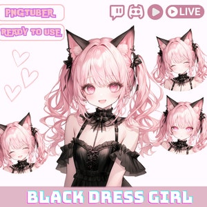 PNGTuber Model, Anime Girl with Double Ponytail, Kawaii Cat Png Tuber Avatar for Twitch and YouTube Streaming, Cute OBS Overlay Character